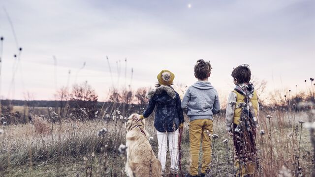 Three children in a field at sunset with their golden retriever dog - Small